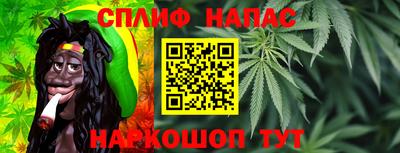 бошки Бийск